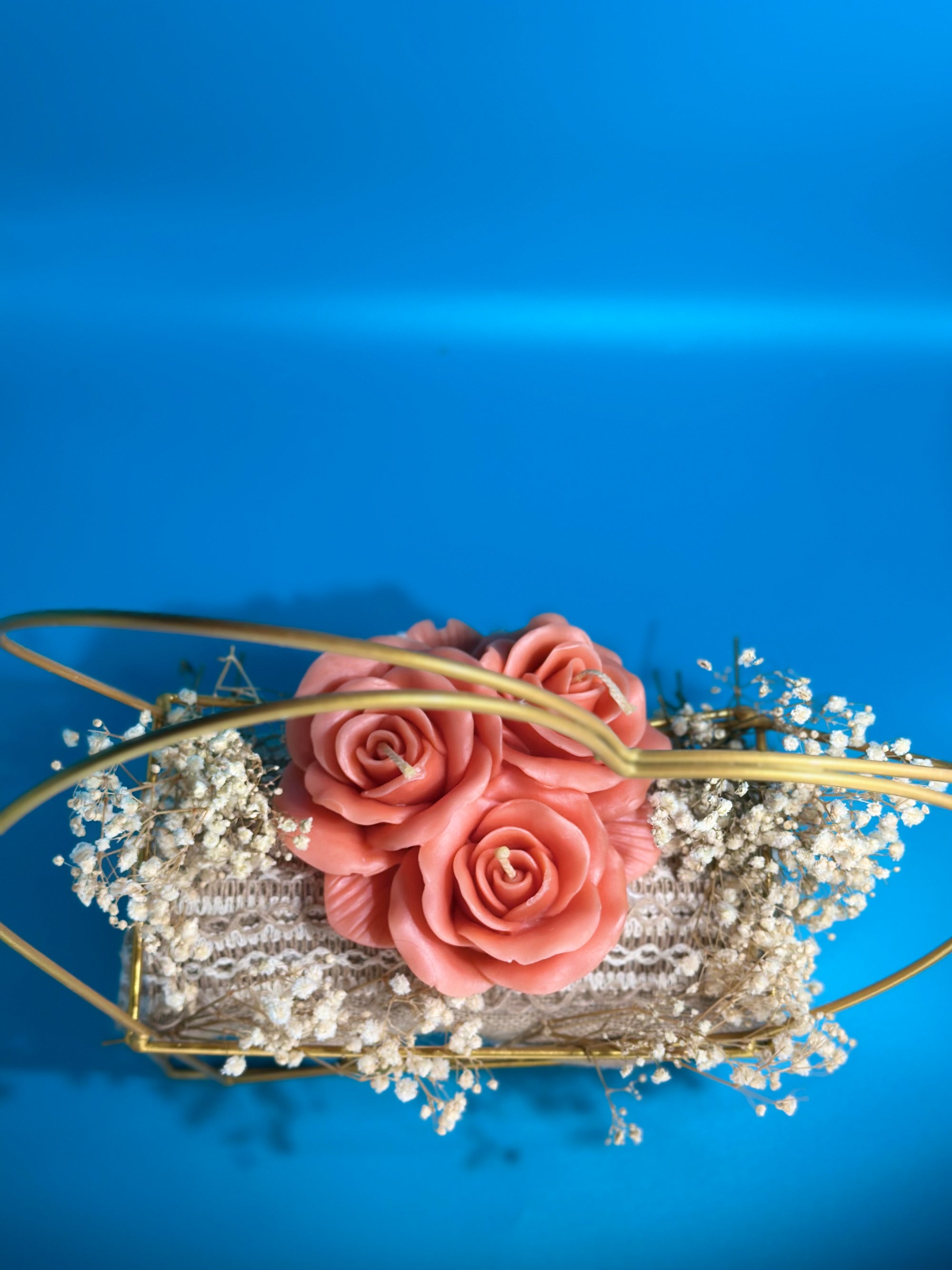 🧺 Panier Pêche Dorée